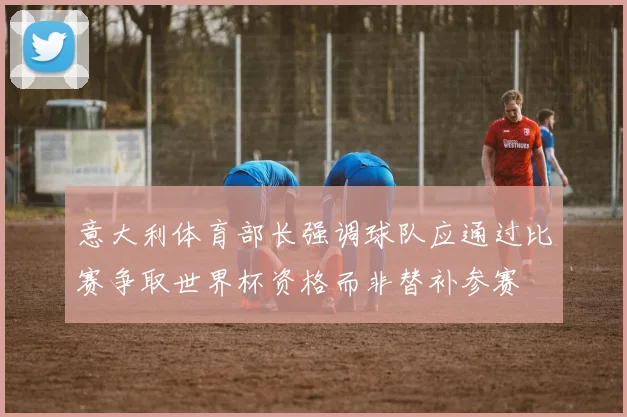 意大利体育部长强调球队应通过比赛争取世界杯资格而非替补参赛